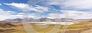 Tuyajto Lagoon in the Atacama Desert, Chile, South America