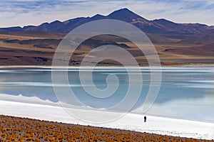 Tuyajto Salt Flats and Lagoon in the Atacama Desert - Chile