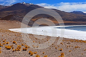 Tuyajto Salt Flats and Lagoon in the Atacama Desert - Chile