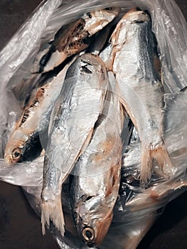 Tuyo Salted Dry Fish