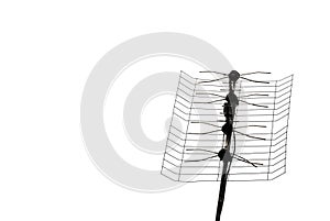 TV Aerial Antenne photo