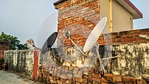 Tv antenna or dth antenna