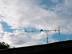 TV antenna with silhouette two birds kissing on outdoor in blue white sky