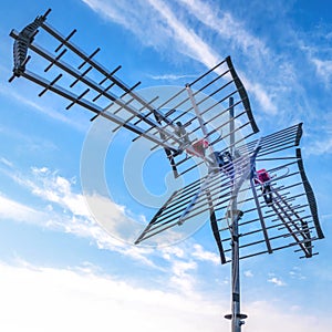 TV antenna with sky background