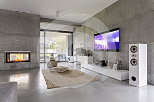 Tv living room with window