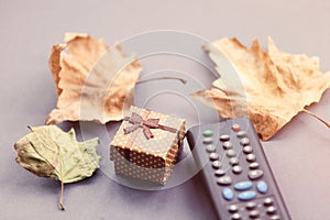 TV remote control and autumn leafs