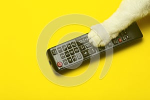 TV remote control with a cat`s paw on a yellow background. Cinema, entertainment, TV concept