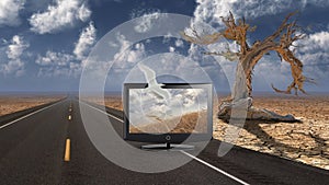 TV screen in arid landscape. Old tree