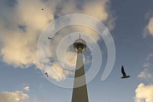 TV Tower or Fernsehturm with birds at sunset, Berlin, Germany