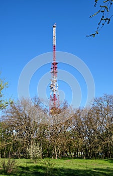 TV tower in the park on a summer day