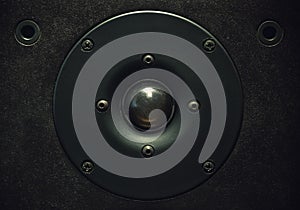 Tweeter Speaker Closeup