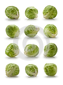 Twelve brussels sprouts