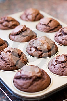 Twelve chocolate muffins cooling off