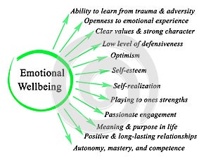 Components of Emotional Wellbeing
