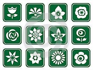 Twelve flower symbols