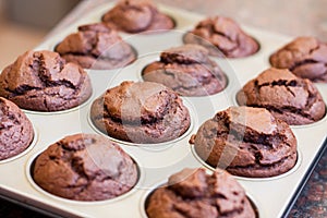 Twelve freshly baked chocolate muffins