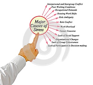 Major Cause of Stress
