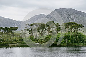 Twelve Pines Island on a gorgeous background formed by the sharp peaks of a mountain range called Twelve Pins or Twelve Bens,