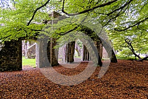 Twelve sided Chapter House - monastic ruins - Margam Country Park