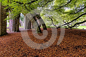 Twelve sided Chapter House - monastic ruins - Margam Country Park