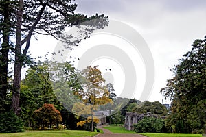 Twelve sided Chapter House - monastic ruins - Margam Country Park