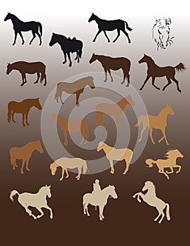 Twelve silhouettes of standing horses set in brown colors