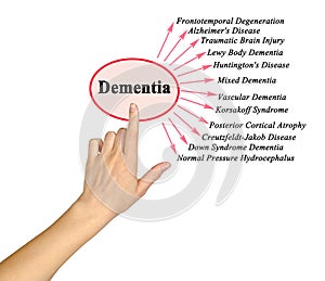 Twelve types of Dementia