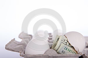 Twenty dollar note hatching from white egg
