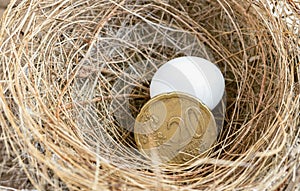 Twenty euro cent coin with the egg bird in bird`s nest. The conc