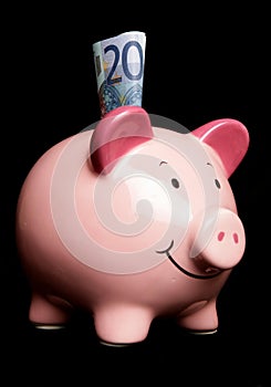 Twenty euros in a piggy bank