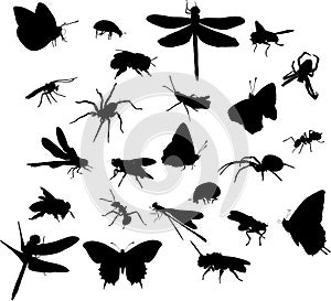 Twenty four insect silhouettes