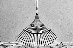 Twenty Tine Metal Leaf Rake