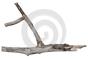 Twig branches, Dry wooden isolated on white background. Clipping path included