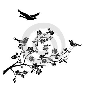 Twig cherry blossoms and birds