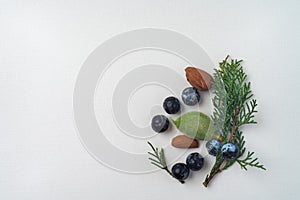 Twig of evergreen juniper with seven blue old berries, three almonds nut, in springtime isolated on white textured paper.