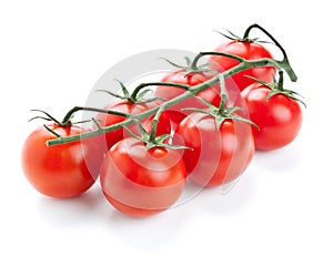 Twig of fresh cherry tomato on white