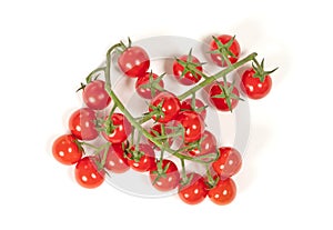 Twig of fresh cherry tomato on white