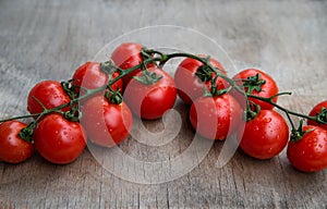 Twig of fresh red delicious cherry tomatoes