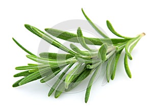 Twig of rosemary