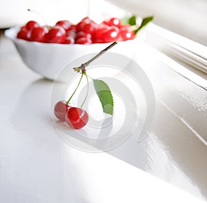 Twig with two cherries