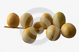 Fresh dates, isolated