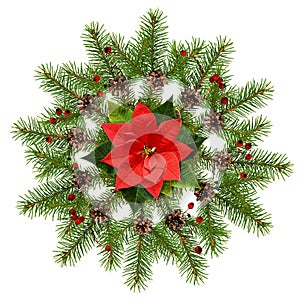 Twigs of Christmas tree and poinsettia flower in a holiday arrangement