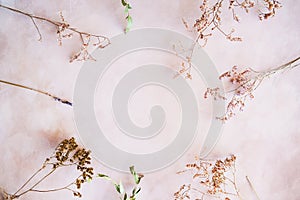 Twigs of dried flowers and herbs on pastel pink background. Romantic floral frame. Copy space.