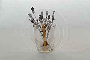 Twigs with dried lavender flowers with a wax church candle in a glass transparent glass on a white background
