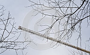 Twigs without leaves and a crane jib