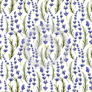 Twigs and leaves of lavender flowers. Watercolor, seamless pattern on a white background. From a large set of LAVENDER