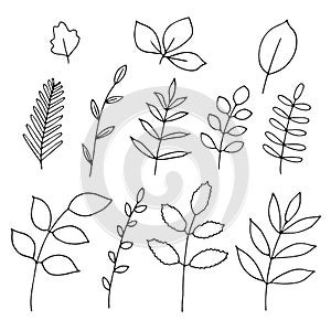 Twigs and leaves set vector illustration, hand drawing doodles