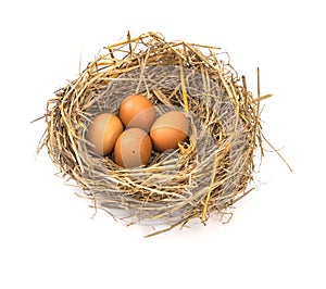 Twigs nest with brown chicken eggs