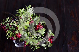 Twigs red ripe lingonberries in a glass on a dark wooden background. wild berry in swamp