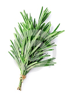 Twigs of rosemary
